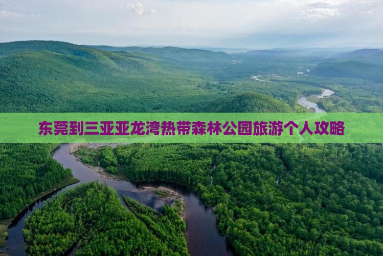 东莞到三亚亚龙湾热带森林公园旅游个人攻略