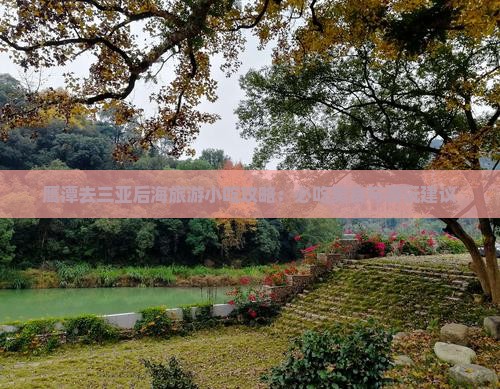 鹰潭去三亚后海旅游小吃攻略：必吃美食与游玩建议