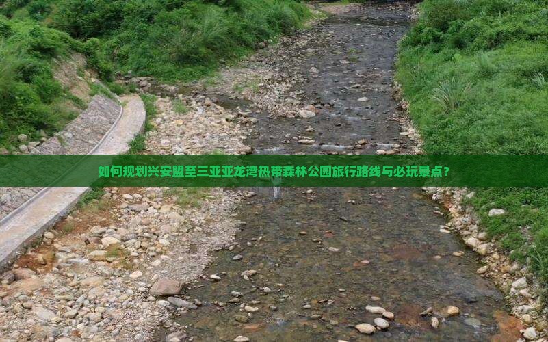 如何规划兴安盟至三亚亚龙湾热带森林公园旅行路线与必玩景点？