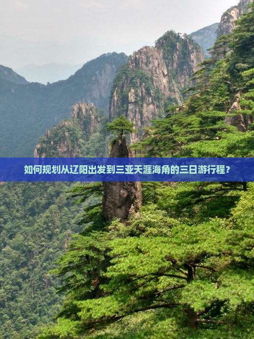 如何规划从辽阳出发到三亚天涯海角的三日游行程？