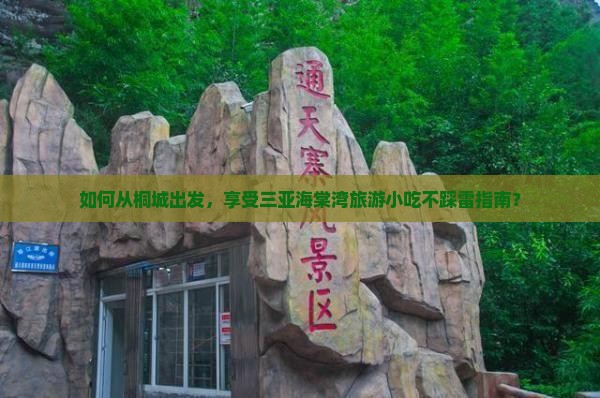 如何从桐城出发，享受三亚海棠湾旅游小吃不踩雷指南？