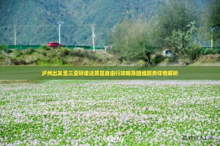 泸州出发至三亚呀诺达景区自由行攻略及团组服务详情解析