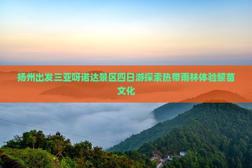 扬州出发三亚呀诺达景区四日游探索热带雨林体验黎苗文化