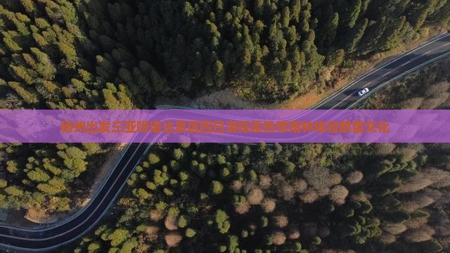 扬州出发三亚呀诺达景区四日游探索热带雨林体验黎苗文化