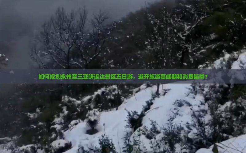 如何规划永州至三亚呀诺达景区五日游，避开旅游高峰期和消费陷阱？