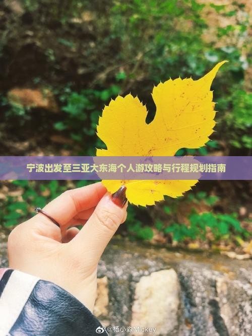 宁波出发至三亚大东海个人游攻略与行程规划指南