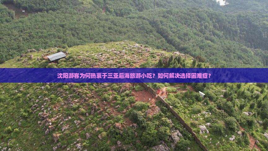 沈阳游客为何热衷于三亚后海旅游小吃？如何解决选择困难症？