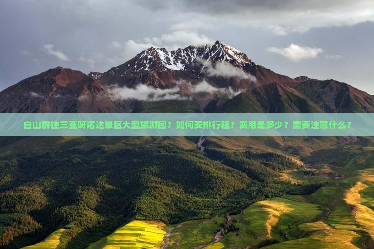 白山前往三亚呀诺达景区大型旅游团？如何安排行程？费用是多少？需要注意什么？