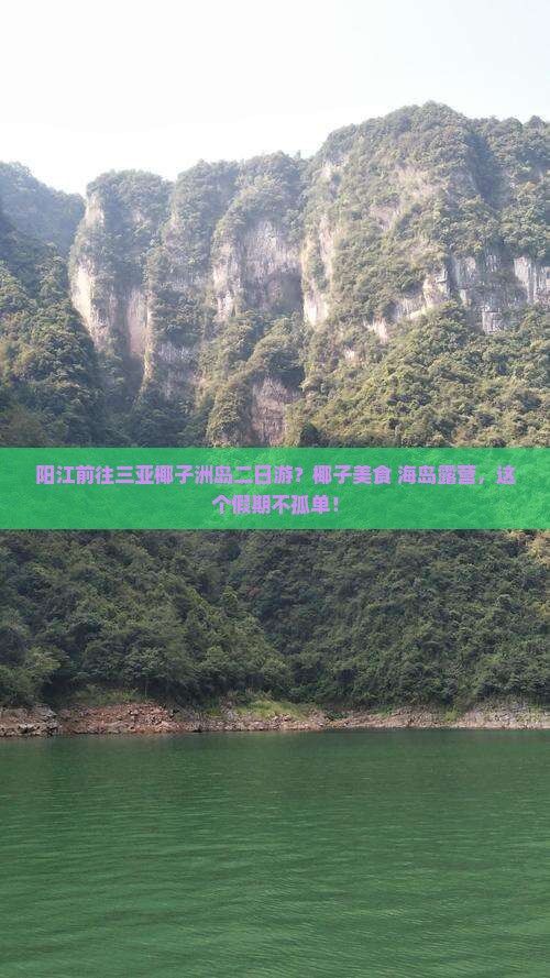 阳江前往三亚椰子洲岛二日游？椰子美食+海岛露营，这个假期不孤单！