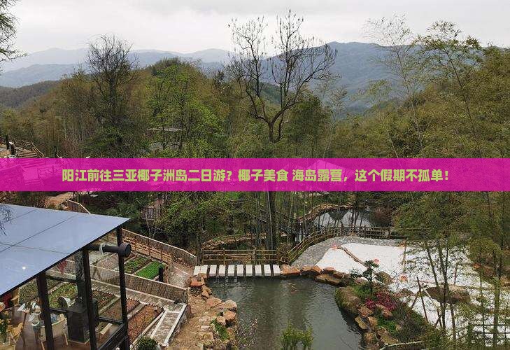 阳江前往三亚椰子洲岛二日游？椰子美食+海岛露营，这个假期不孤单！