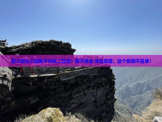 阳江前往三亚椰子洲岛二日游？椰子美食+海岛露营，这个假期不孤单！