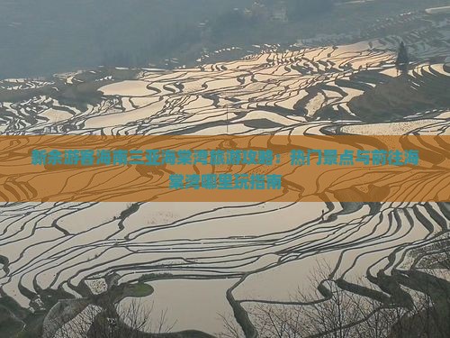 新余游客海南三亚海棠湾旅游攻略：热门景点与前往海棠湾哪里玩指南