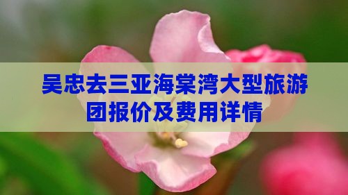吴忠去三亚海棠湾大型旅游团报价及费用详情