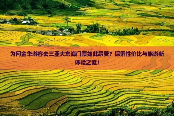 为何金华游客去三亚大东海门票如此昂贵？探索性价比与旅游新体验之谜！