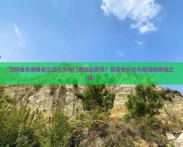 为何金华游客去三亚大东海门票如此昂贵？探索性价比与旅游新体验之谜！