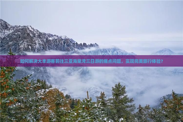 如何解决大丰游客前往三亚海棠湾三日游的痛点问题，实现完美旅行体验？