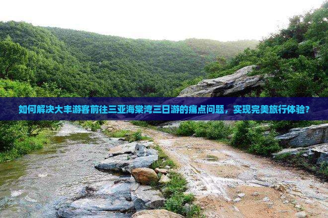 如何解决大丰游客前往三亚海棠湾三日游的痛点问题，实现完美旅行体验？