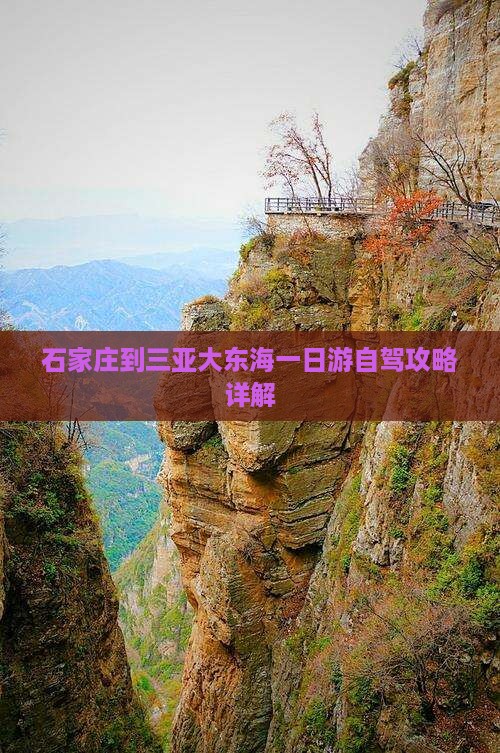 石家庄到三亚大东海一日游自驾攻略详解