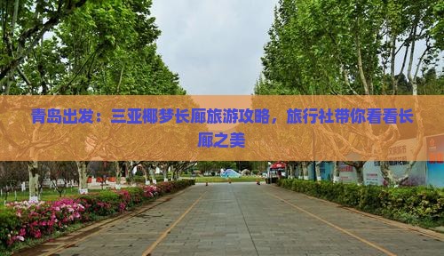 青岛出发：三亚椰梦长廊旅游攻略，旅行社带你看看长廊之美