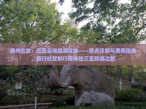 扬州出发：三亚后海旅游攻略——景点详解与费用指南，旅行社定制行程体验三亚旅游之旅