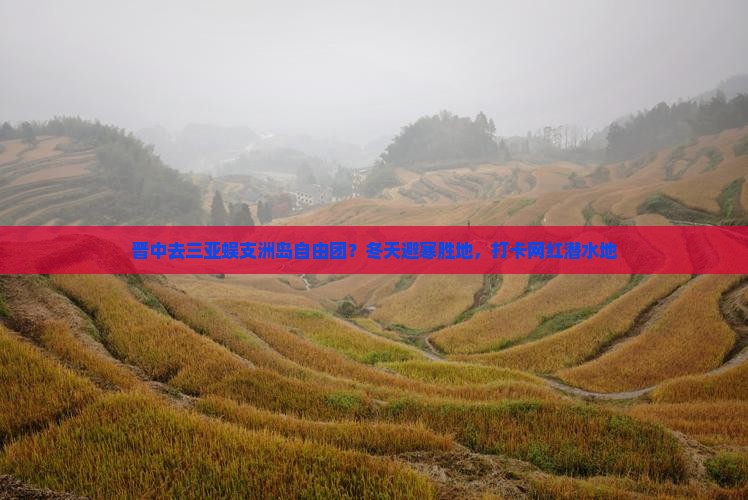 晋中去三亚蜈支洲岛自由团？冬天避寒胜地，打卡网红潜水地