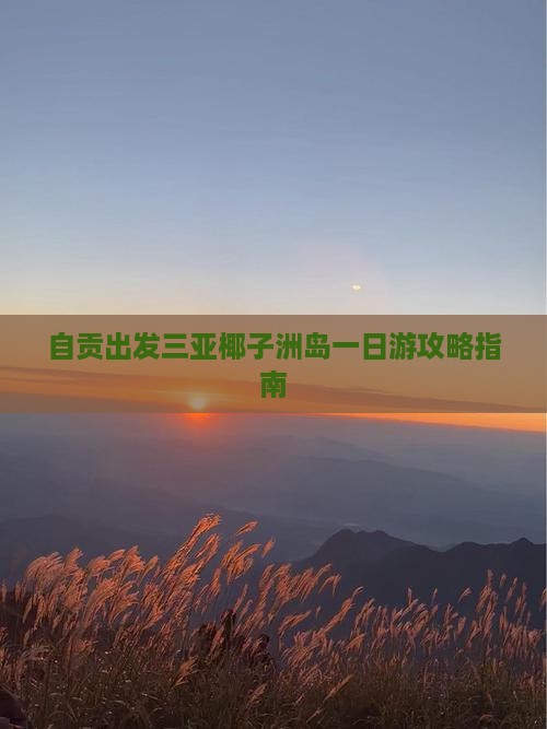 自贡出发三亚椰子洲岛一日游攻略指南