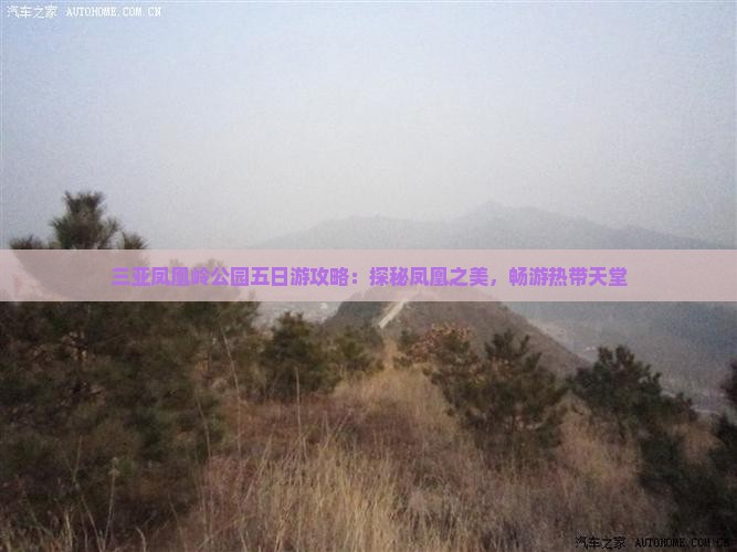 三亚凤凰岭公园五日游攻略：探秘凤凰之美，畅游热带天堂