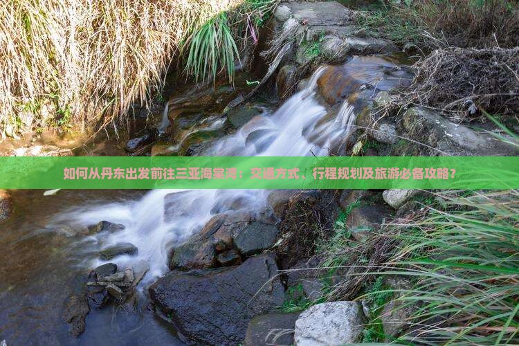 如何从丹东出发前往三亚海棠湾：交通方式、行程规划及旅游必备攻略？