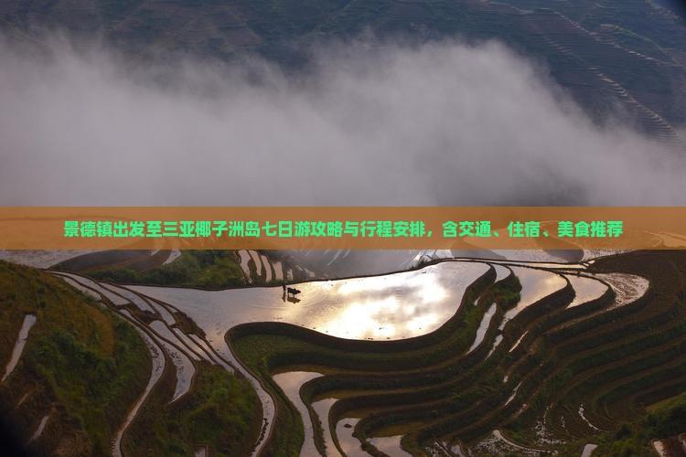 景德镇出发至三亚椰子洲岛七日游攻略与行程安排，含交通、住宿、美食推荐