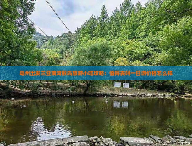 亳州出发三亚南湾猴岛旅游小吃攻略：值得去吗一日游价格怎么样