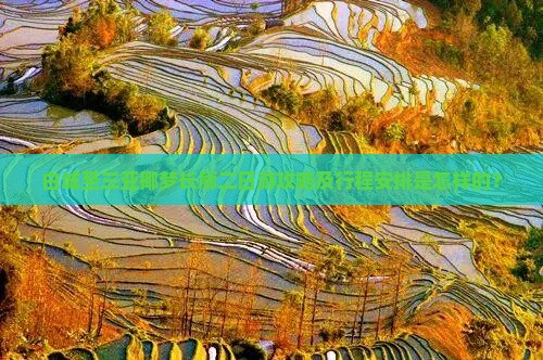 白城至三亚椰梦长廊二日游攻略及行程安排是怎样的？