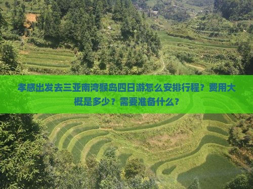 孝感出发去三亚南湾猴岛四日游怎么安排行程?费用大概是多少?需要准备什么? 孝感出发去三亚南湾猴岛四日游怎么安排行程?费用大概是多少?需要准备什么?