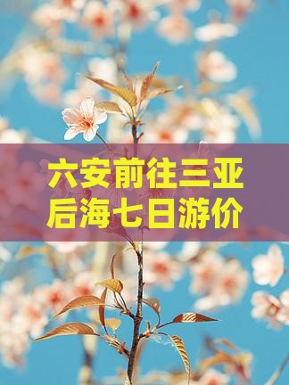 六安前往三亚后海七日游价格及路线