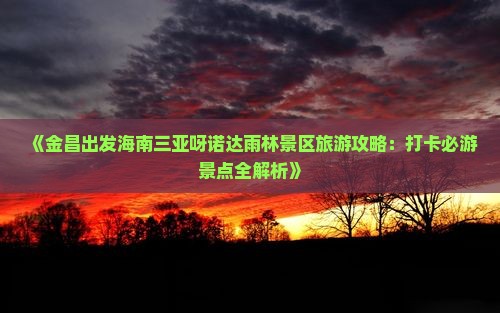 《金昌出发海南三亚呀诺达雨林景区旅游攻略：打卡必游景点全解析》