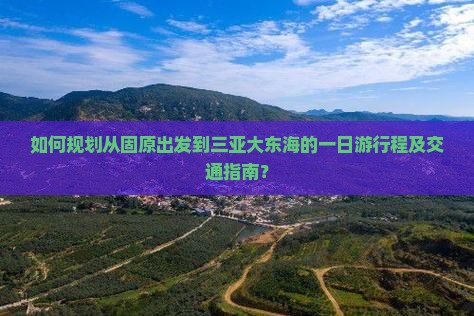 如何规划从固原出发到三亚大东海的一日游行程及交通指南？
