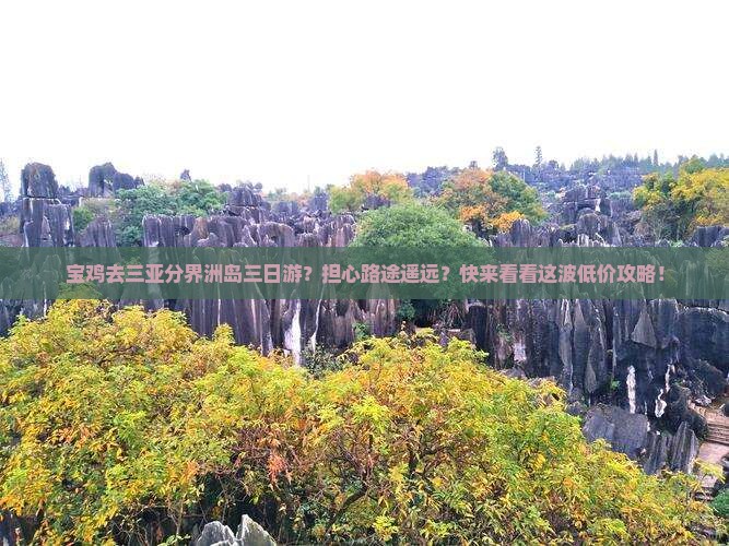 宝鸡去三亚分界洲岛三日游？担心路途遥远？快来看看这波低价攻略！