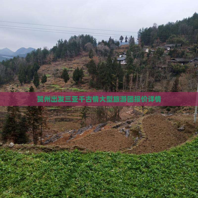 贺州出发三亚千古情大型旅游团报价详情