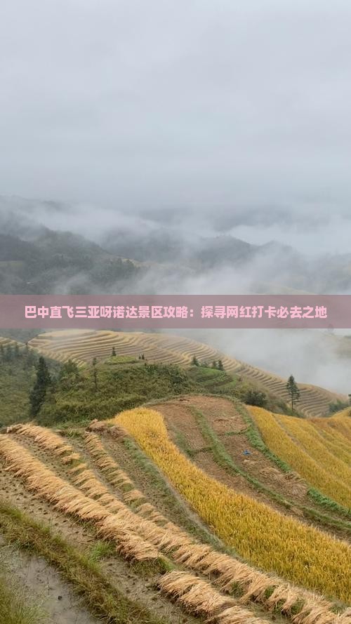 巴中直飞三亚呀诺达景区攻略：探寻网红打卡必去之地