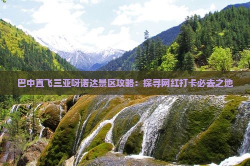 巴中直飞三亚呀诺达景区攻略：探寻网红打卡必去之地