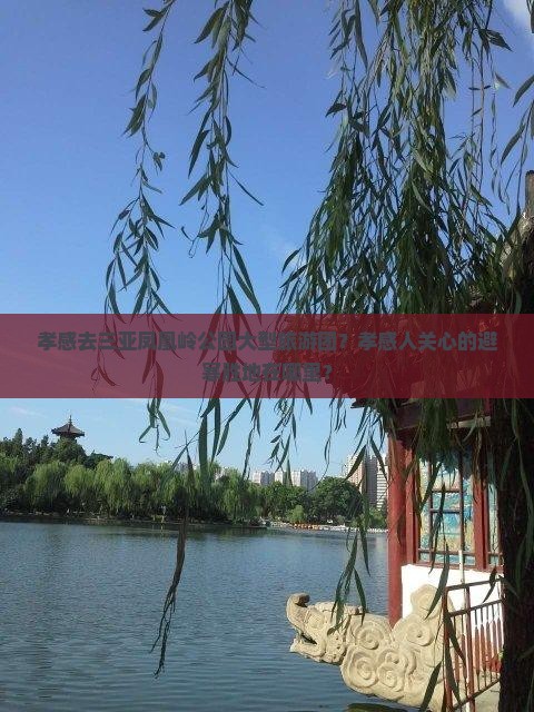 孝感去三亚凤凰岭公园大型旅游团？孝感人关心的避寒胜地在哪里？