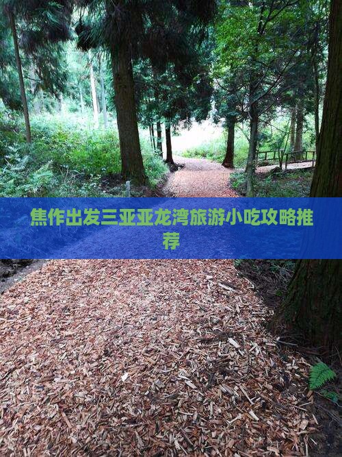 焦作出发三亚亚龙湾旅游小吃攻略推荐
