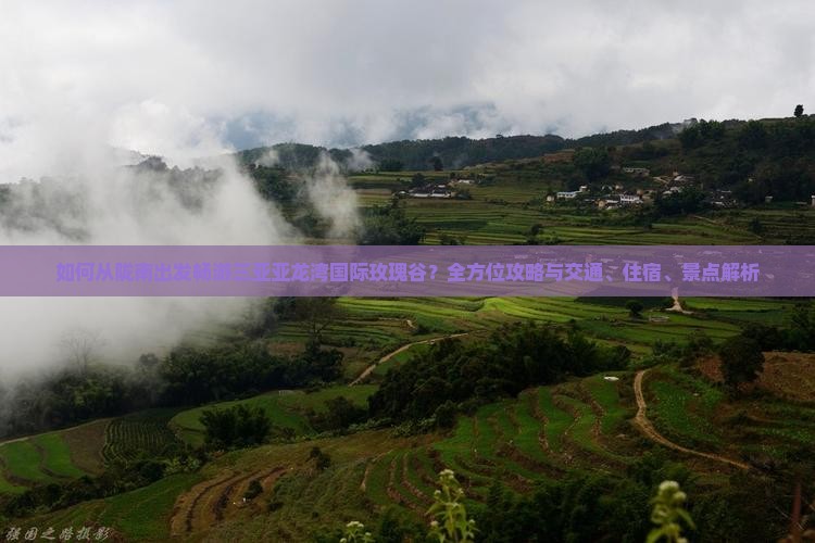如何从陇南出发畅游三亚亚龙湾国际玫瑰谷？全方位攻略与交通、住宿、景点解析