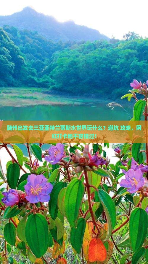 随州出发去三亚亚特兰蒂斯水世界玩什么？避坑+攻略，网红打卡地不容错过！