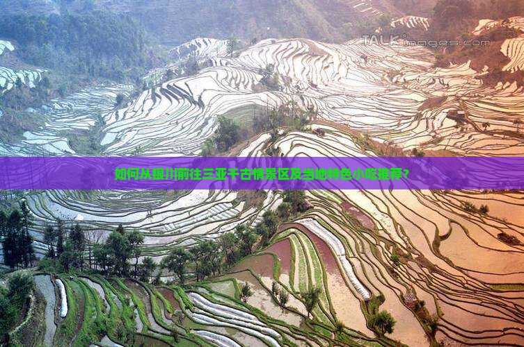 如何从银川前往三亚千古情景区及当地特色小吃推荐？