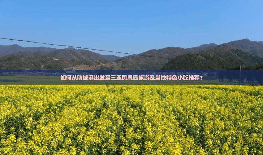 如何从防城港出发至三亚凤凰岛旅游及当地特色小吃推荐？