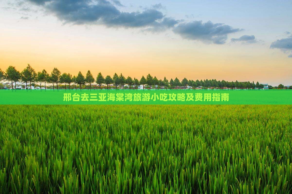 邢台去三亚海棠湾旅游小吃攻略及费用指南