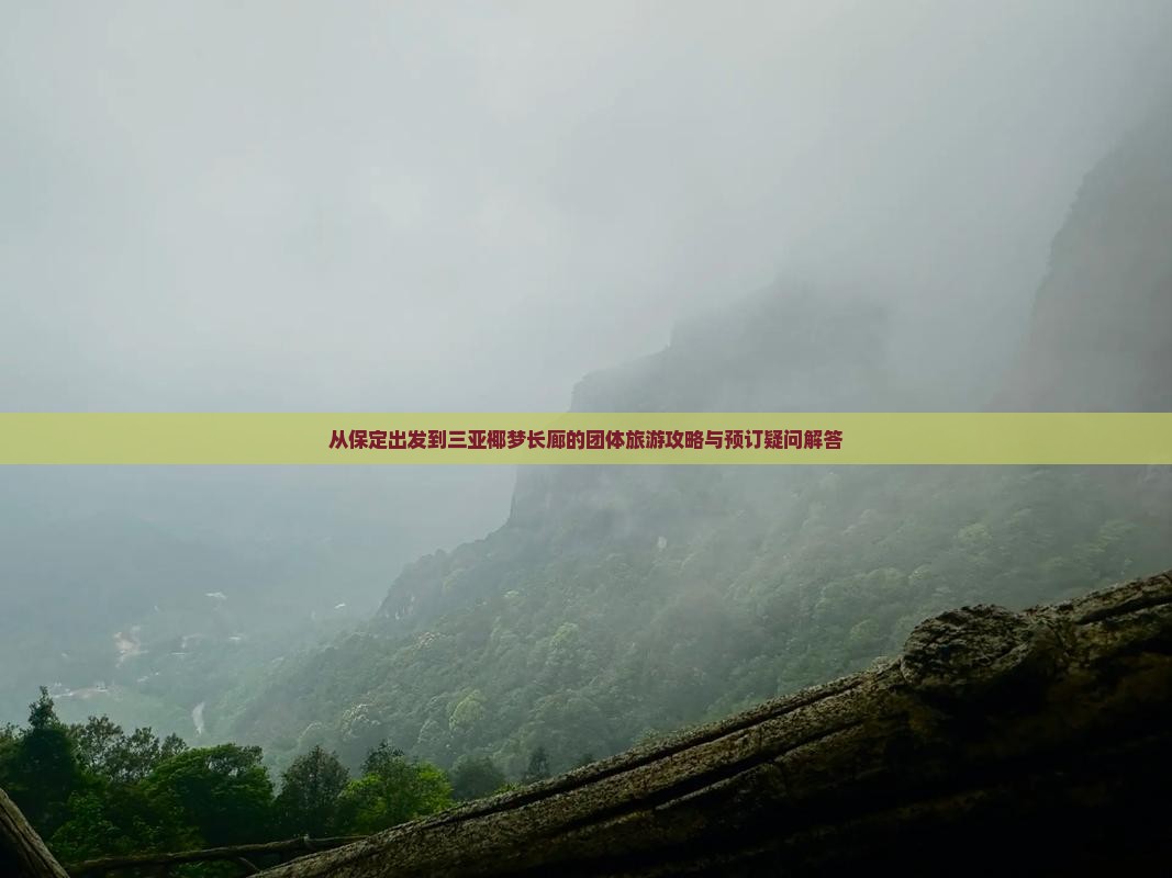 从保定出发到三亚椰梦长廊的团体旅游攻略与预订疑问解答