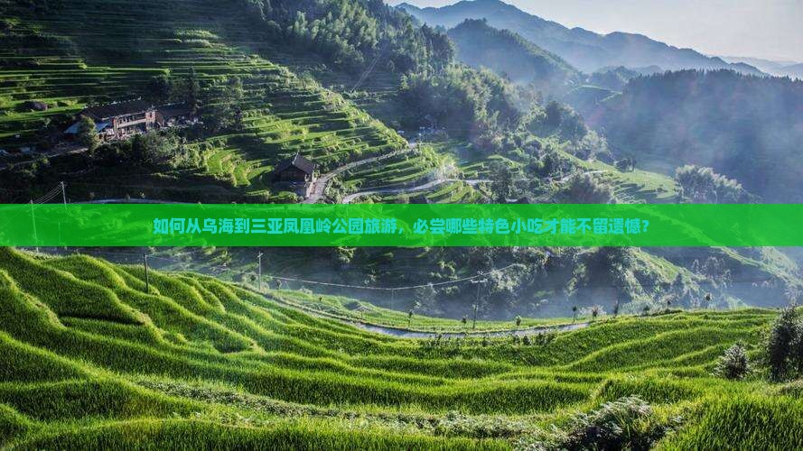 如何从乌海到三亚凤凰岭公园旅游，必尝哪些特色小吃才能不留遗憾？