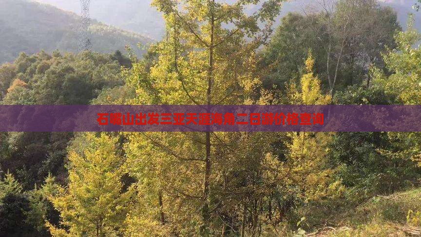 石嘴山出发三亚天涯海角二日游价格查询