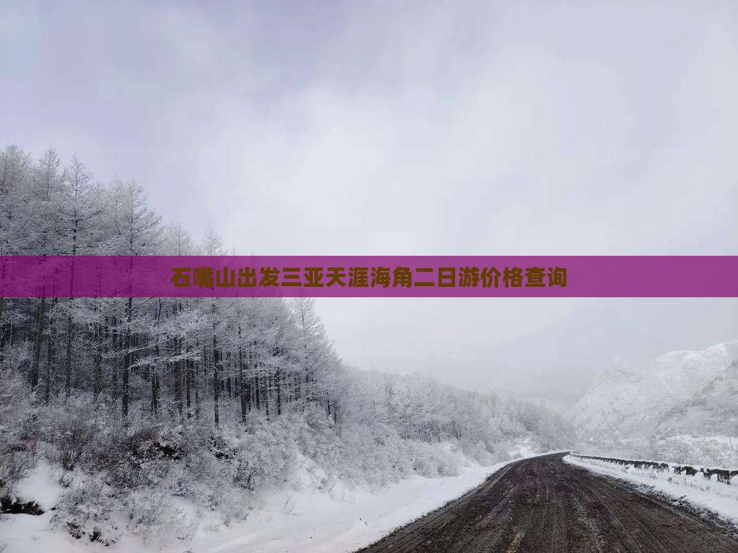 石嘴山出发三亚天涯海角二日游价格查询